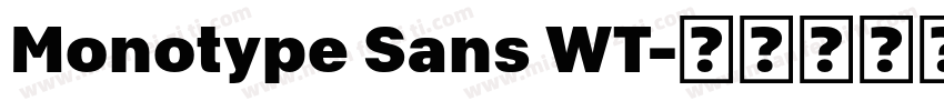 Monotype Sans WT字体转换